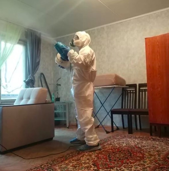 дезинсекция квартиры в Заполярном